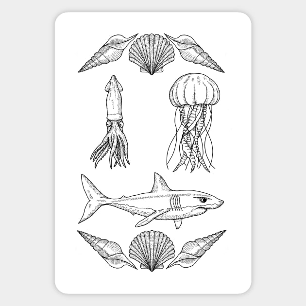 Sea Life Flash Sticker by Fieldm0use